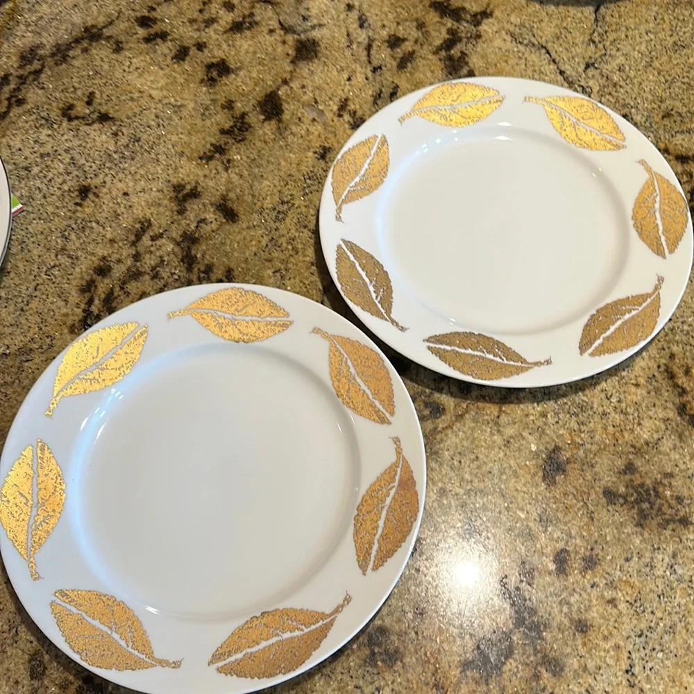 Set of 2 crate & barrel dinner plates
